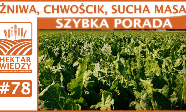 SZYBKA_PORADA_OKLADKA_78