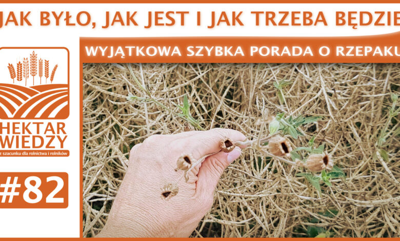 SZYBKA_PORADA_OKLADKA_82