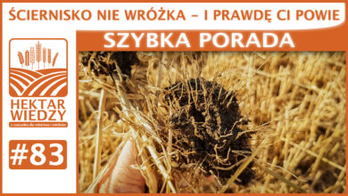 Photo of SCIERNISKO NIE WRÓŻKA – I PRAWDĘ CI POWIE.| SZYBKA PORADA #83