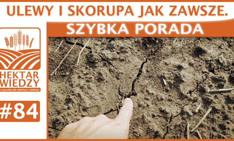 SZYBKA_PORADA_OKLADKA_84