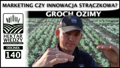 Photo of GROCH OZIMY – MARKETING CZY INNOWACJA STRĄCZKOWA? | ODCINEK 140