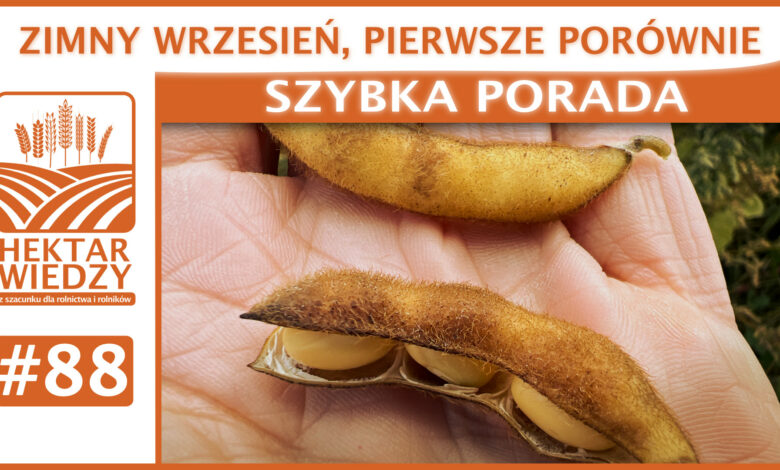 SZYBKA_PORADA_OKLADKA_88.