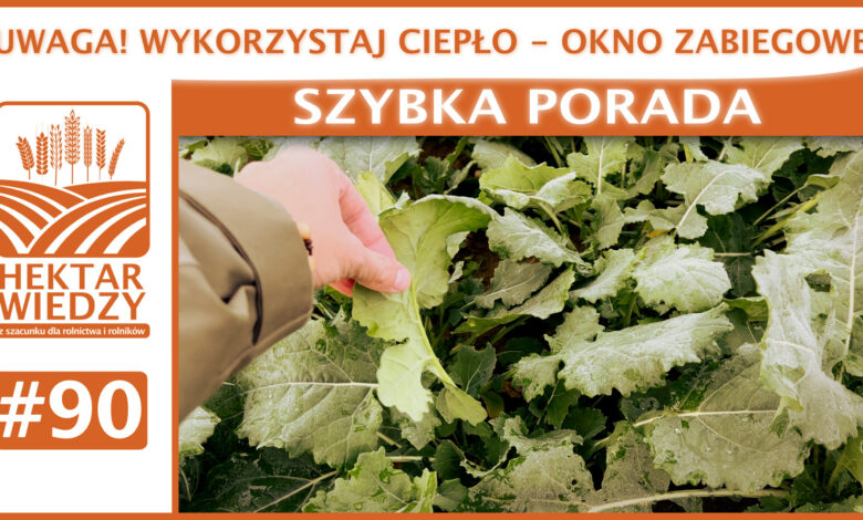 SZYBKA_PORADA_OKLADKA_90
