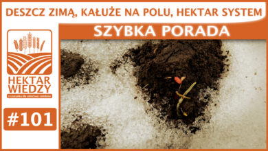 Photo of DESZCZ ZIMĄ, KAŁUŻE NA POLACH, HEKTAR SYSTEM. | SZYBKA PORADA #101