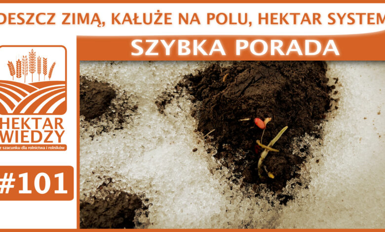 SZYBKA_PORADA_OKLADKA_101