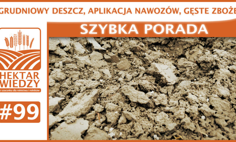 SZYBKA_PORADA_OKLADKA_99