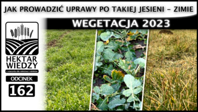 Photo of WEGETACJA 2023. JAK PROWADZIĆ UPRAWY PO TAKIEJ JESIENI – ZIMIE. | ODCINEK 162