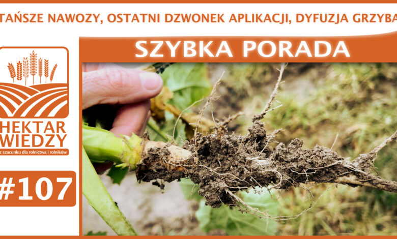 SZYBKA_PORADA_OKLADKA_107