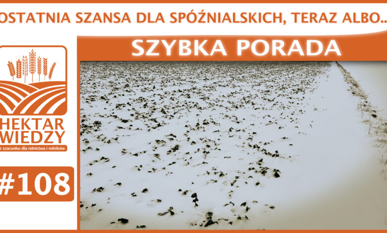 SZYBKA_PORADA_OKLADKA_108