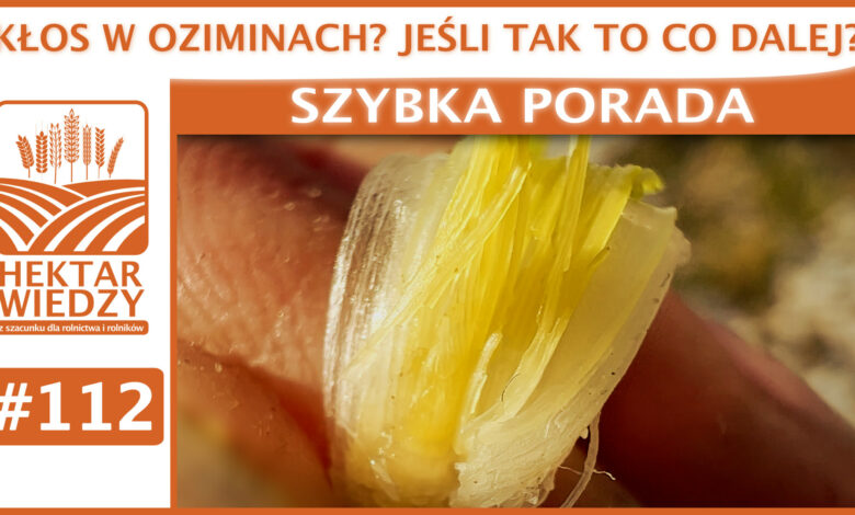 SZYBKA_PORADA_OKLADKA_112