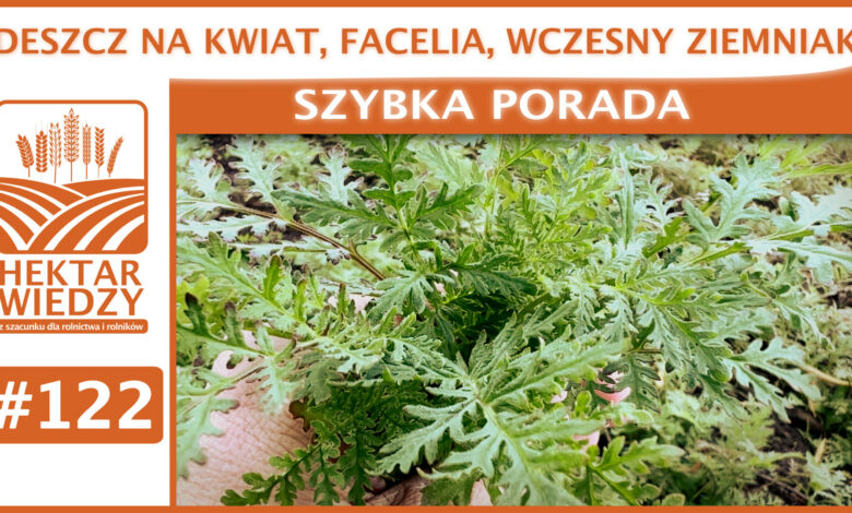 SZYBKA_PORADA_OKLADKA_122