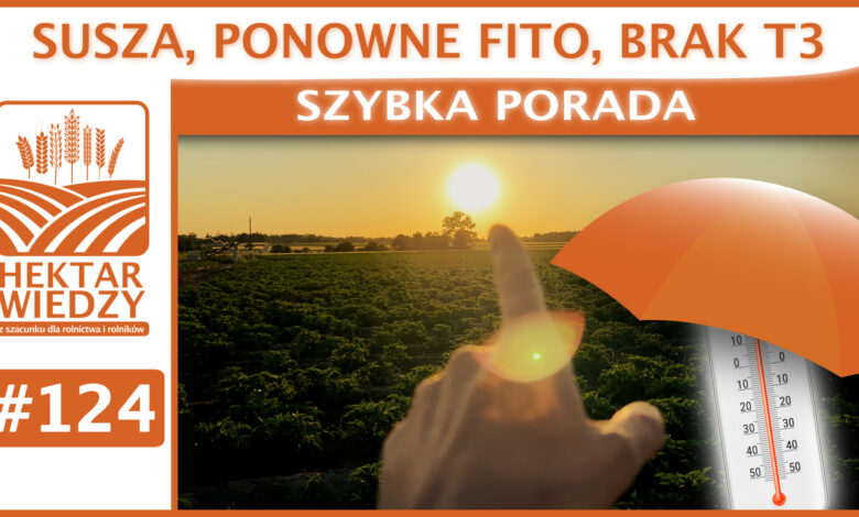 SZYBKA_PORADA_OKLADKA_124
