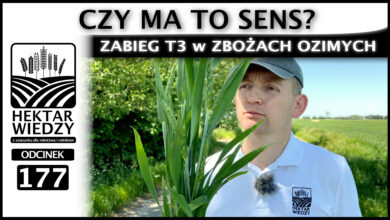 Photo of ZABIEG T3 w ZBOŻACH OZIMYCH – CZY MA TO SENS? | ODCINEK 177
