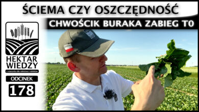 Photo of CHWOŚCIK BURAKA ZABIEG T0. ŚCIEMA CZY OSZCZĘDNOŚĆ. | ODCINEK 178