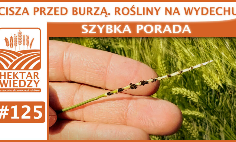 SZYBKA_PORADA_OKLADKA_125
