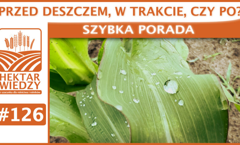 ZYBKA_PORADA_OKLADKA_126