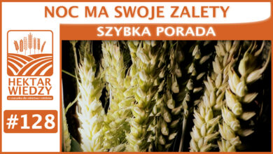 Photo of NOC MA SWOJE ZALETY. | SZYBKA PORADA #128