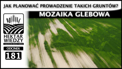 Photo of MOZAIKA GLEBOWA. JAK PLANOWAĆ PROWADZENIE TAKICH GRUNTÓW? | ODCINEK 181