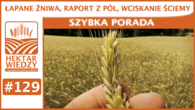 Photo of ŁAPANE ŻNIWA, RAPORT Z PÓL, WCISKANIE ŚCIEMY. | SZYBKA PORADA #129