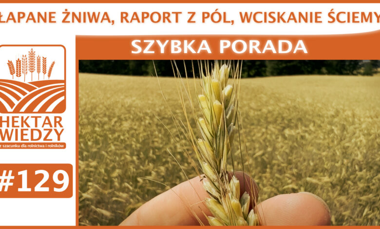 SZYBKA_PORADA_OKLADKA_129
