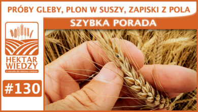 Photo of PRÓBY GLEBY, PLON W SUSZY, ZAPISKI Z POLA. | SZYBKA PORADA #130