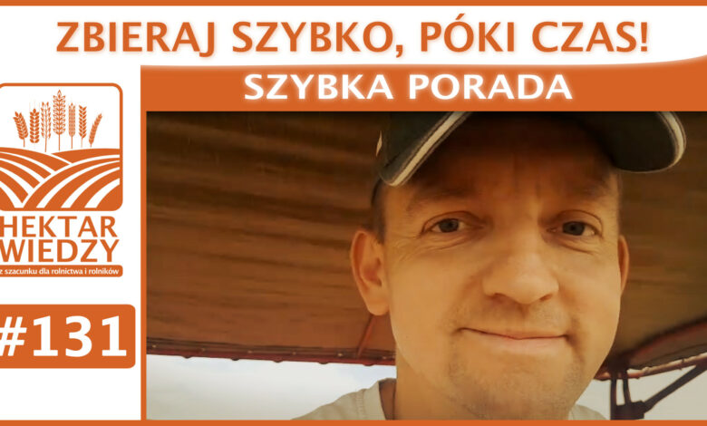 SZYBKA_PORADA_OKLADKA_131