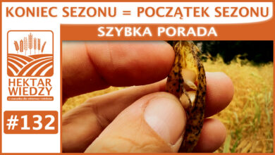 Photo of KONIEC SEZONU = POCZĄTEK SEZONU. | SZYBKA PORADA #132