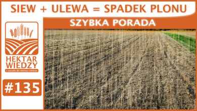 Photo of SIEW + ULEWA = SPADEK PLONU | SZYBKA PORADA #135
