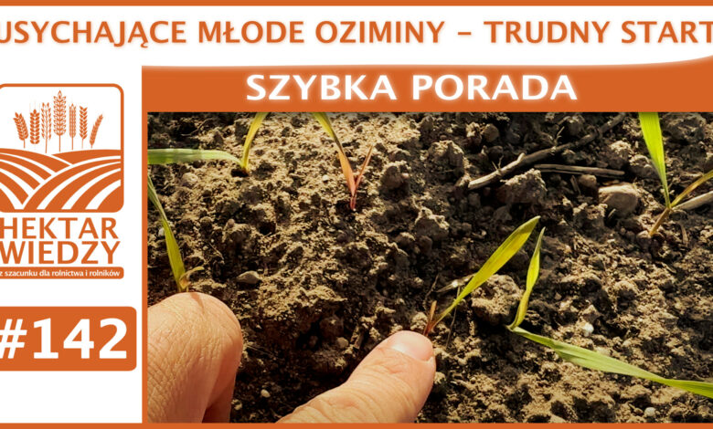 SZYBKA_PORADA_OKLADKA_142