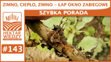 Photo of ZIMNO, CIEPŁO, ZIMNO – ŁAP OKNO ZABIEGOWE. | SZYBKA PORADA #143