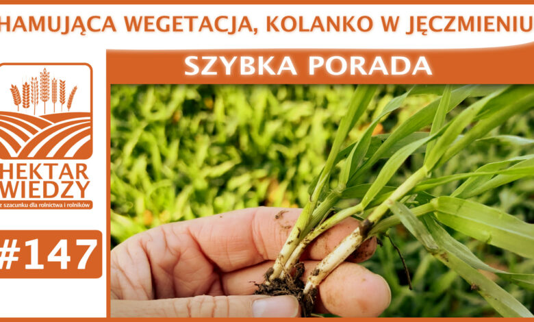 SZYBKA_PORADA_OKLADKA_147