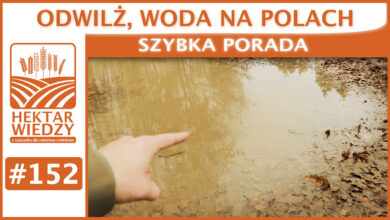 Photo of ODWILŻ, WODA NA POLACH. | SZYBKA PORADA #152