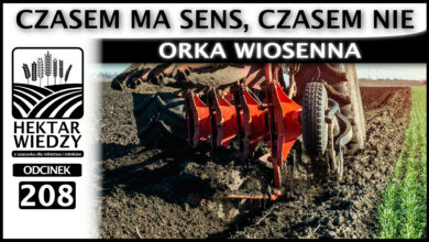 Photo of ORKA WIOSENNA – CZASEM MA SENS, CZASEM NIE. | ODCINEK 208