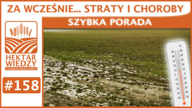 Photo of ZA WCZEŚNIE… STRATY I CHOROBY.| SZYBKA PORADA #158