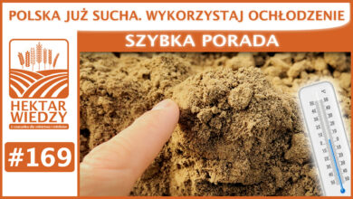 Photo of POLSKA JUŻ SUCHA. WYKORZYSTAJ OCHŁODZENIE. | SZYBKA PORADA #169