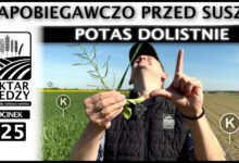 Photo of POTAS DOLISTNIE – ZAPOBIEGAWCZO PRZED SUSZĄ. | ODCINEK 225