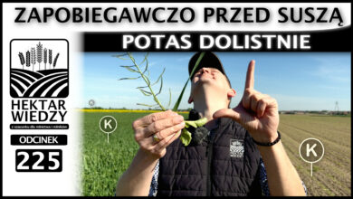 Photo of POTAS DOLISTNIE – ZAPOBIEGAWCZO PRZED SUSZĄ. | ODCINEK 225
