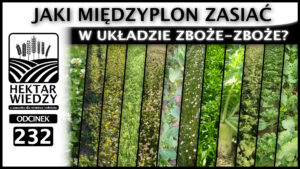 HEKTAR_WIEDZY_OKLADKA_232