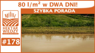 Photo of 80 l/m2 w DWA DNI. | SZYBKA PORADA #178