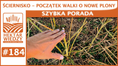 Photo of ŚCIERNISKO – POCZĄTEK WALKI O NOWE PLONY. | SZYBKA PORADA #184