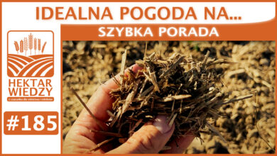 Photo of IDEALNA POGODA NA… | SZYBKA PORADA #185