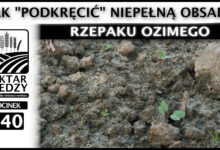 Photo of RATOWANIE NIEPEŁNEJ PLANTACJI – JAK „PODKRĘCIĆ” NIEPEŁNĄ OBSADĘ RZEPAKU OZIMEGO. | ODCINEK 240