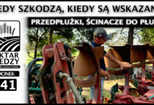 Photo of PRZEDPŁUŻKI, ŚCINACZE DO PŁUGA – KIEDY SZKODZĄ, KIEDY SĄ WSKAZANE? | ODCINEK 241