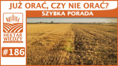 Photo of JUŻ ORAĆ, CZY NIE ORAĆ? | SZYBKA PORADA #186