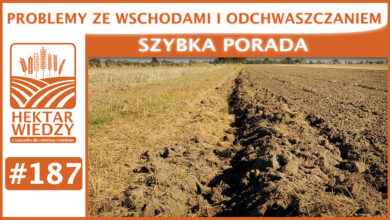 Photo of PROBLEMY ZE WSCHODAMI I ODCHWASZCZANIEM | SZYBKA PORADA #187