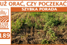 Photo of JUŻ ORAĆ, CZY NIE ORAĆ? | SZYBKA PORADA #189