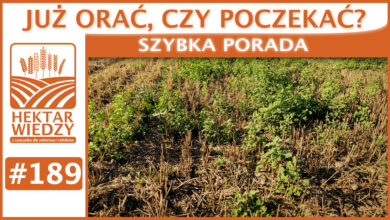 Photo of JUŻ ORAĆ, CZY NIE ORAĆ? | SZYBKA PORADA #189