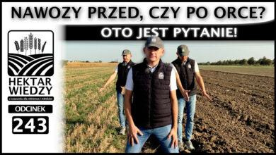 Photo of NAWOZY PRZED ORKĄ, CZY PO ORCE? OTO JEST PYTANIE! | ODCINEK 243