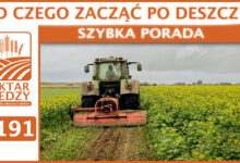 Photo of OD CZEGO ZACZĄĆ PO DESZCZU? | SZYBKA PORADA #191