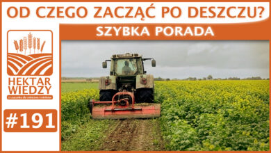 Photo of OD CZEGO ZACZĄĆ PO DESZCZU? | SZYBKA PORADA #191